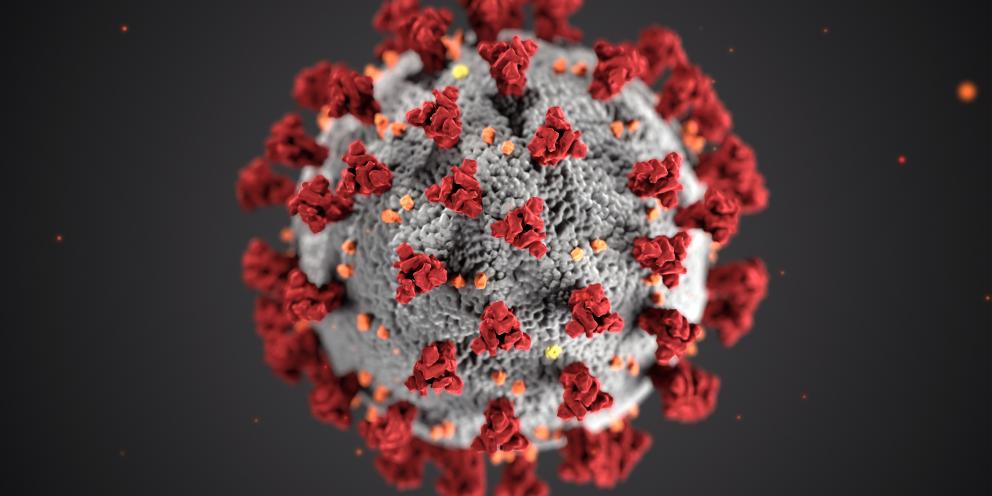 A Coronavirus message from the future